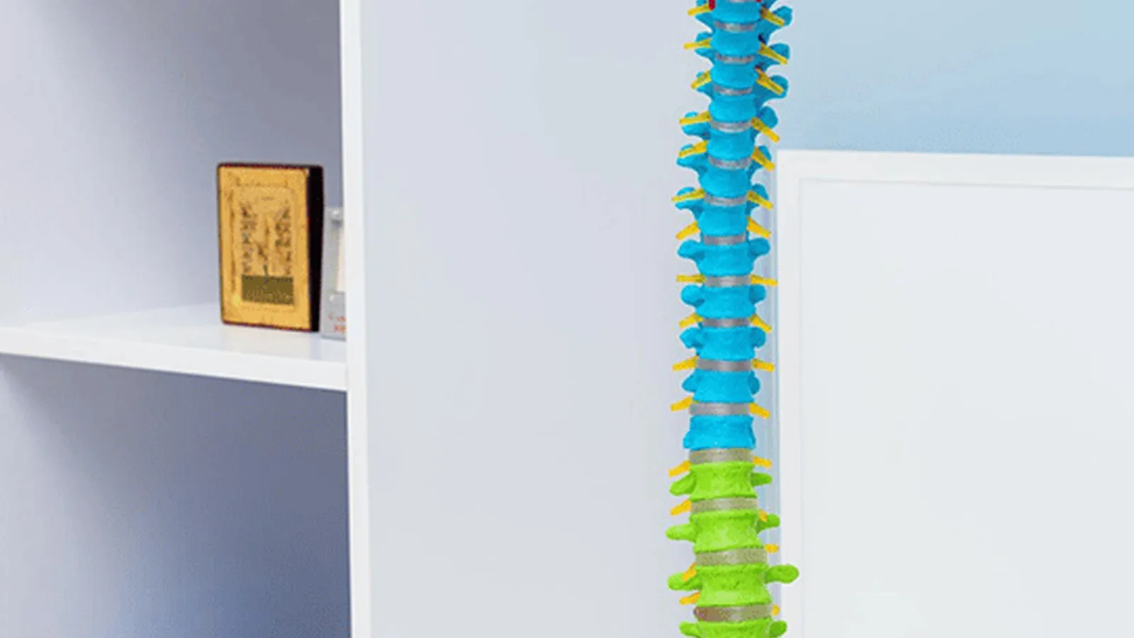 Radiculopatías: Diagnóstico especializado y atención en la CDMX